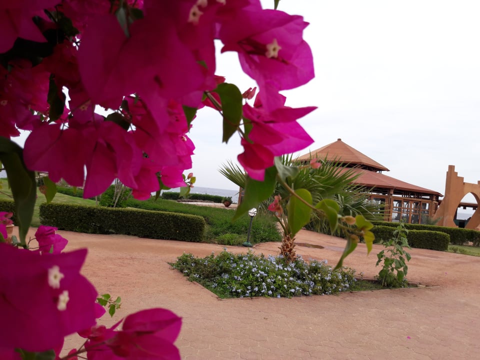 Sonstiges Three Corners Equinox Beach Resort