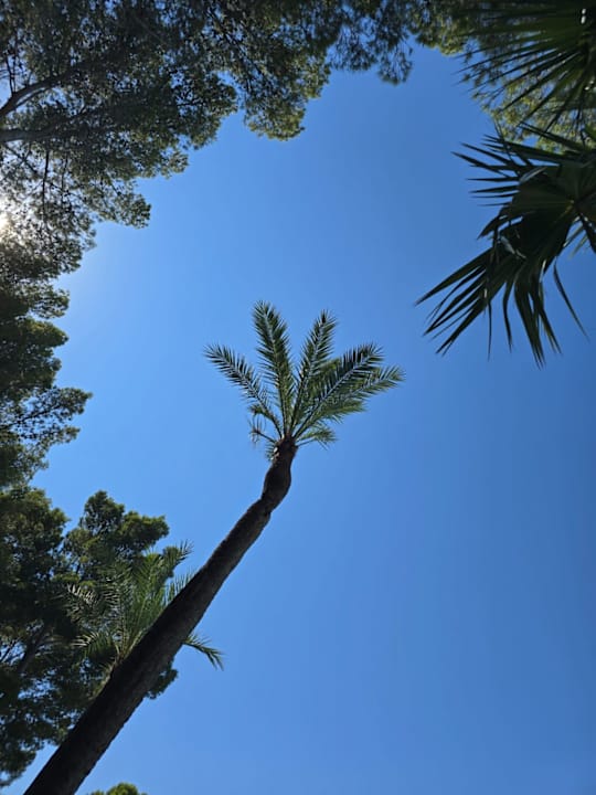 Pool allsun Hotel Bella Paguera