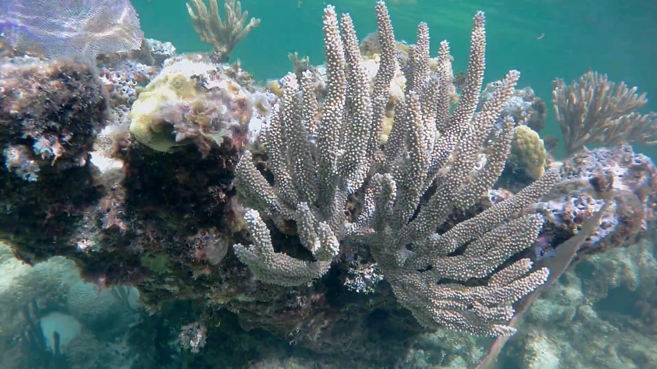 Sport & Freizeit Akumal Bay Beach & Wellness Resort