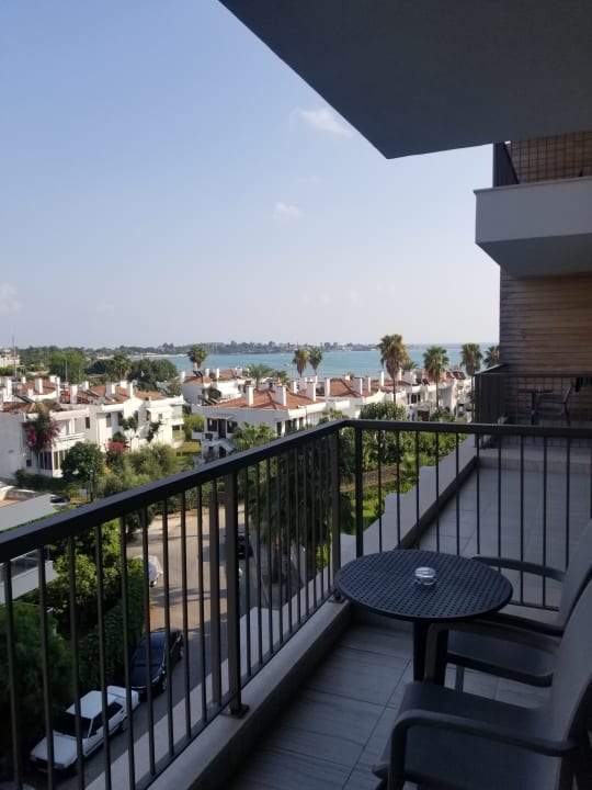 Zimmer Acanthus Cennet Barut Collection