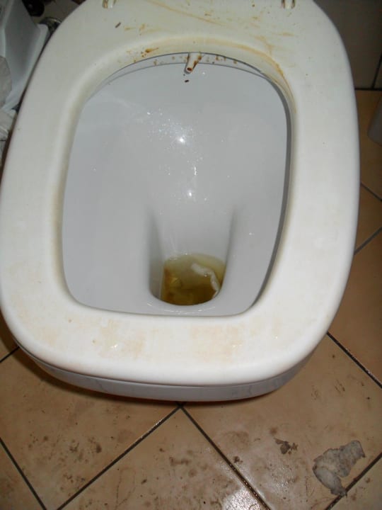 Am Pool  Prestige Alanya