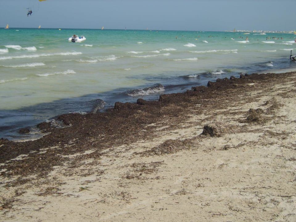 La plage Hotel Djerba Resort
