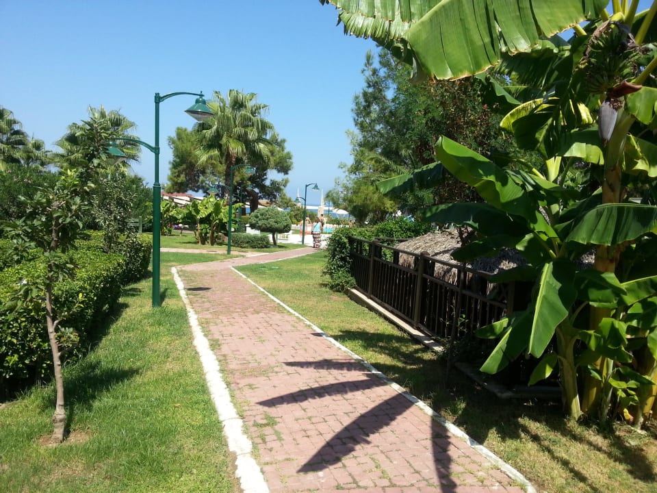 Garden view Crystal Flora Pearl Collection