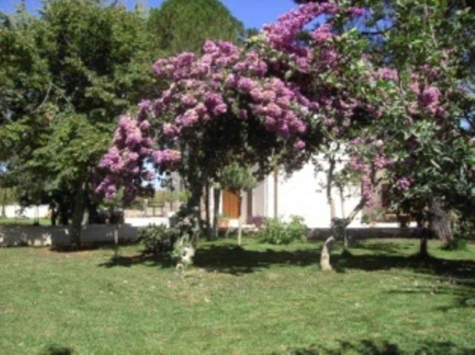Garden Bed & Breakfast Masseria Cesarina