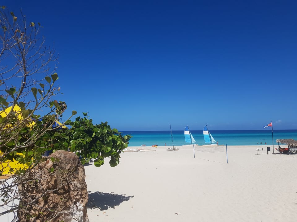 Strand Starfish Cuatro Palmas