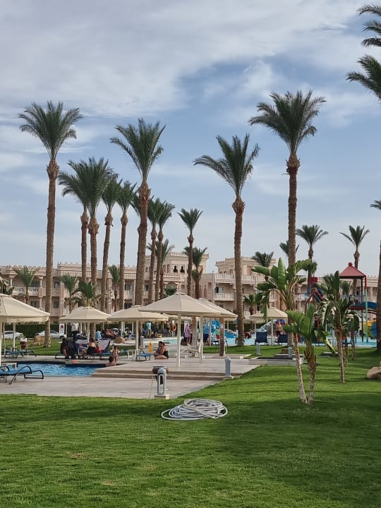 Pool Beach Albatros Resort