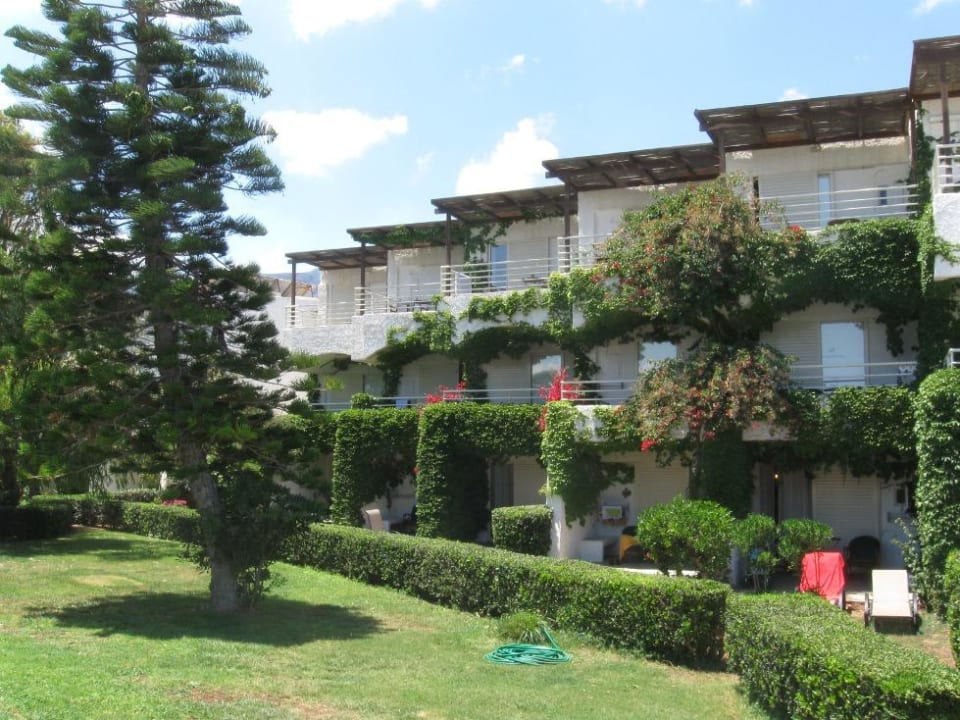 Bungalow od stromy głównego basenu Apollonia Beach Resort & Spa