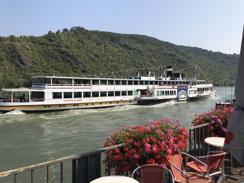 Ausblick Rheinhotel Lilie