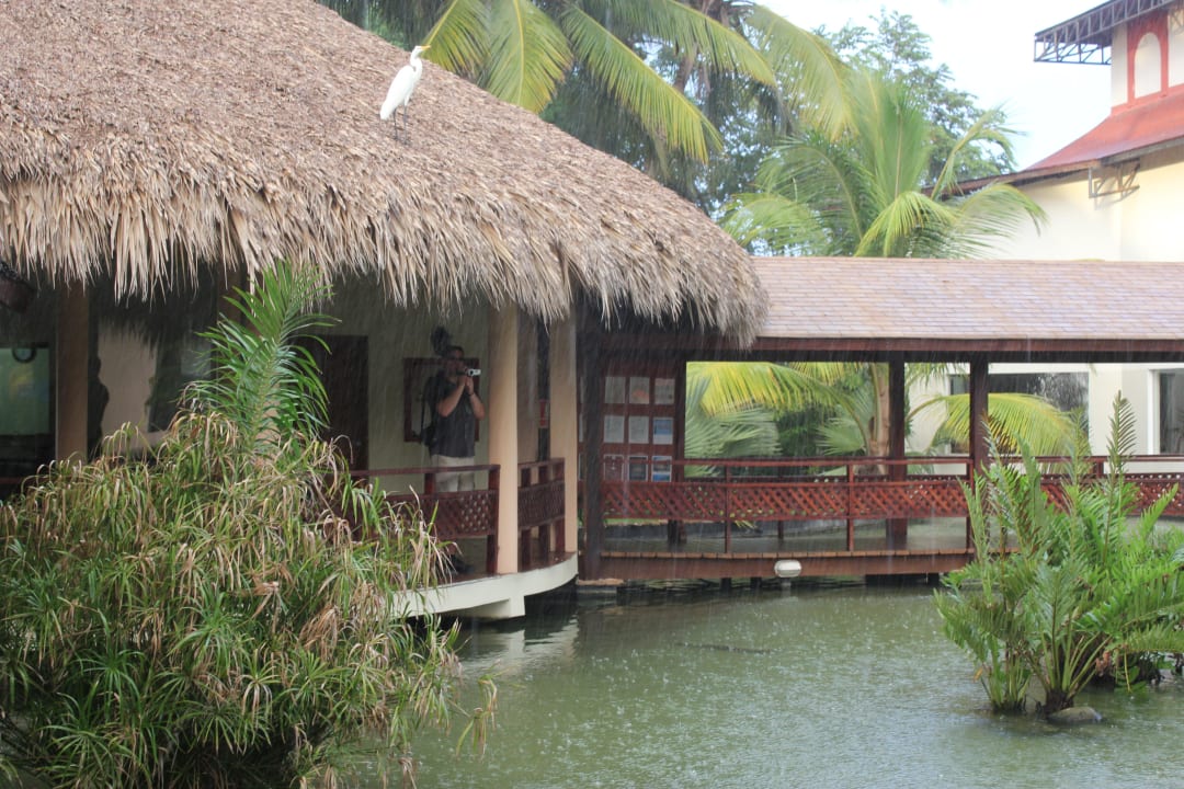 Bei Regen Grand Palladium Select Bávaro Resort & Spa