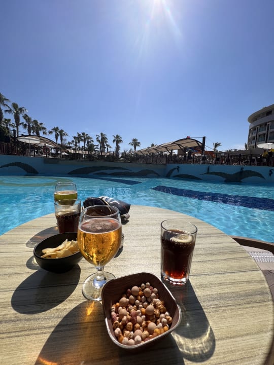 Pool Aydinbey Kings Palace & Spa