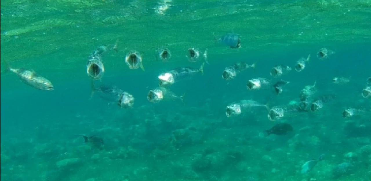 Strand Bliss Nada Beach Resort