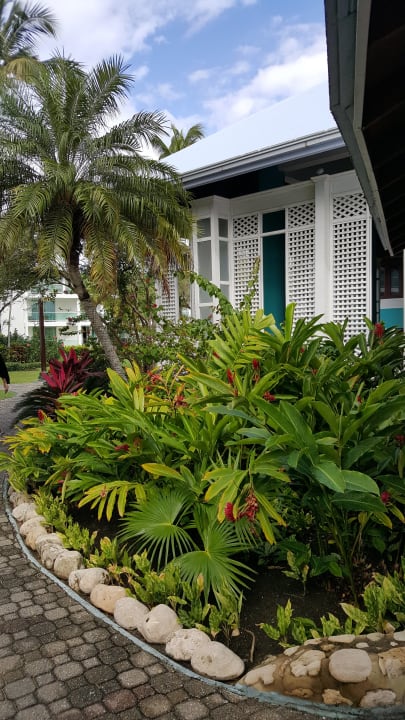 Gartenanlage Grand Paradise Playa Dorada