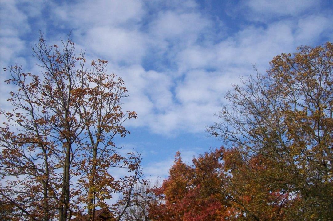 Traumhafte Aussicht am frühen Morgen Landhaus Schlachtensee