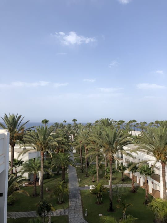 Gartenanlage Hotel Riu Palace Meloneras