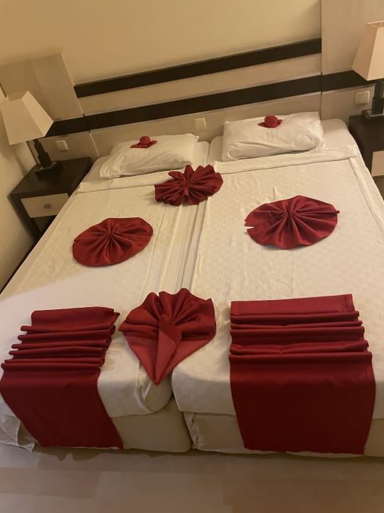 Zimmer Hotel Orfeus Park