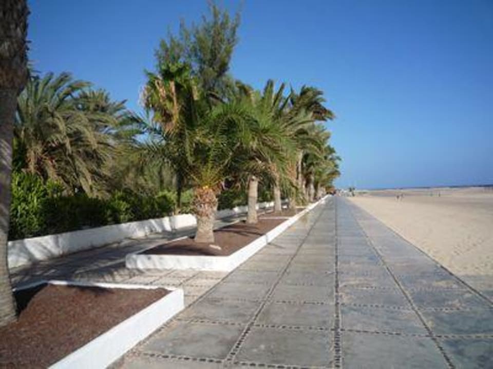Strandpromenade IFA Altamarena by Lopesan Hotels