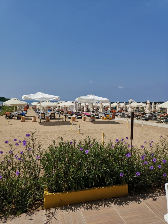 Strand Commodore Elite Suites & Spa - Adults only