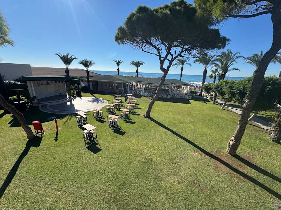 Strand Papillon Ayscha