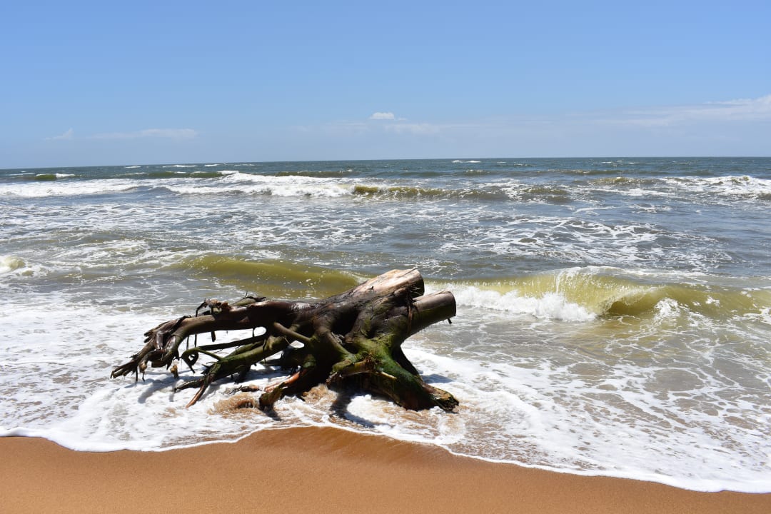 Strand Royal Palms Beach Hotel