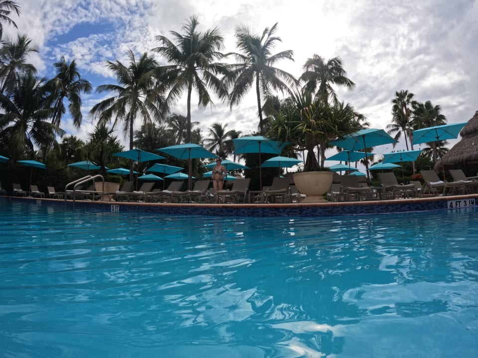 Pool The Palms Hotel & Spa