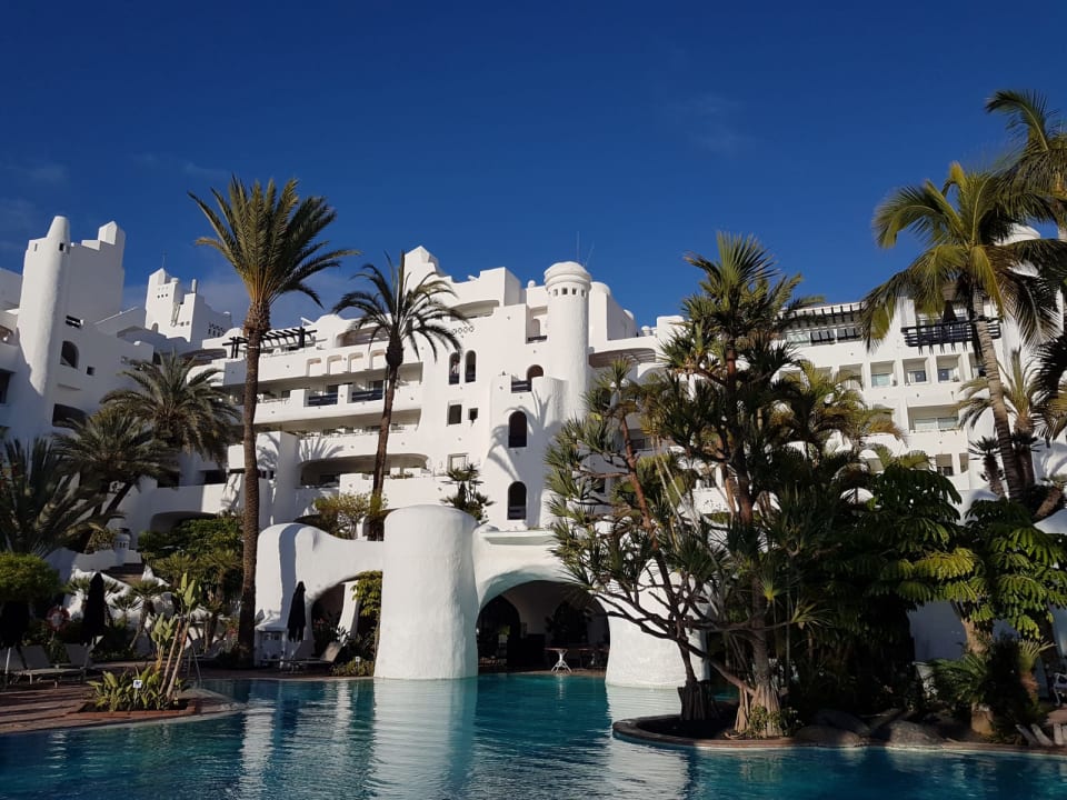 Pool Dreams Jardín Tropical