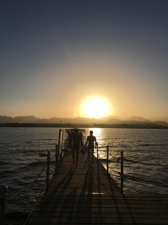 Strand Pickalbatros Royal Moderna Resort-Sharm El Sheikh