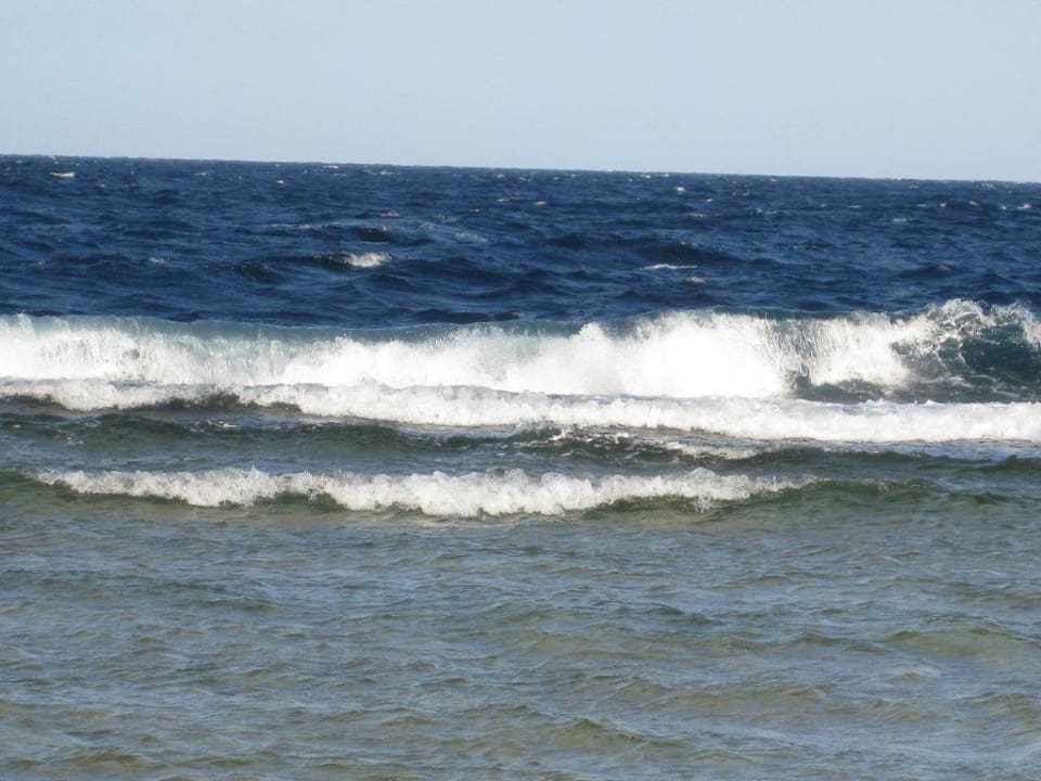 Wellen am Riff Serenity Alpha Beach