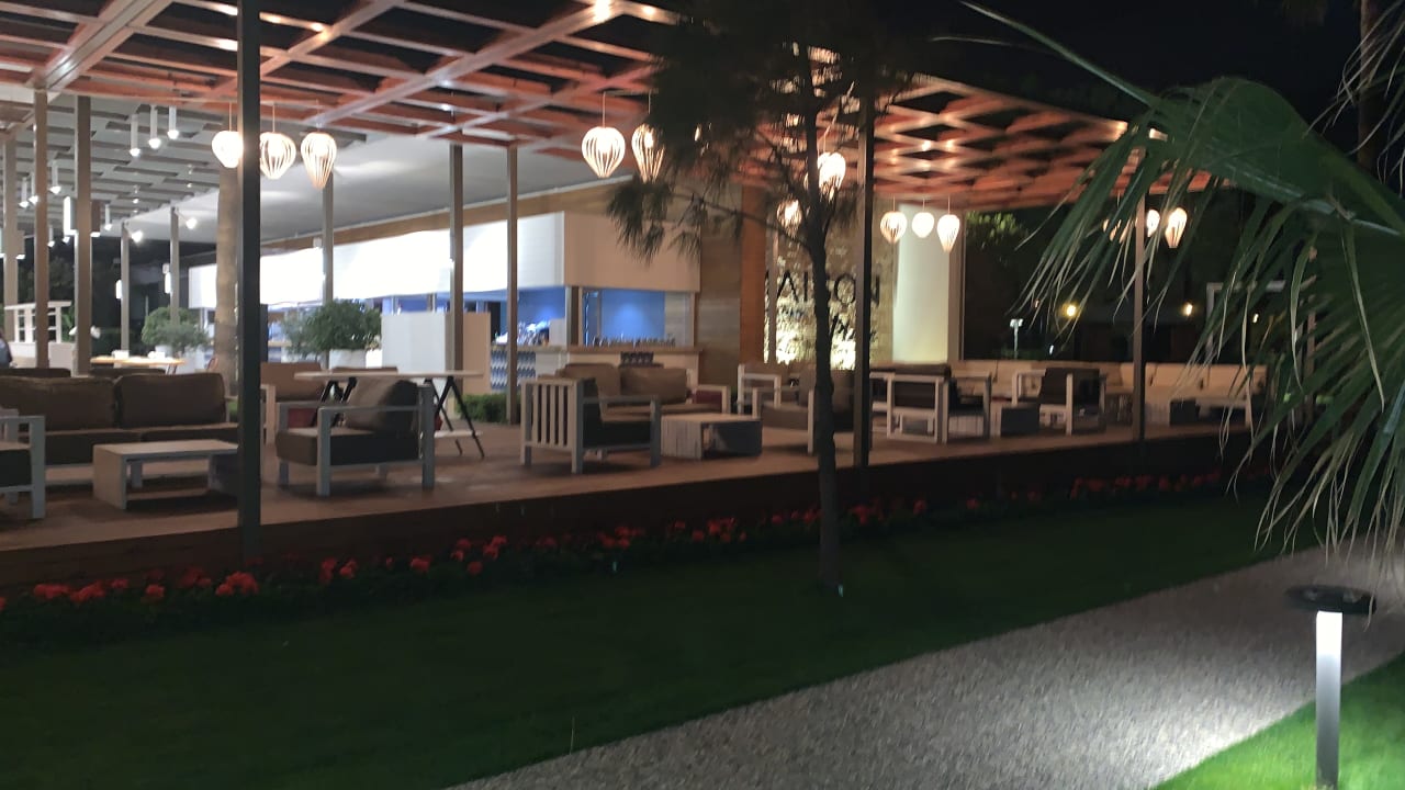 Gastro Acanthus Cennet Barut Collection
