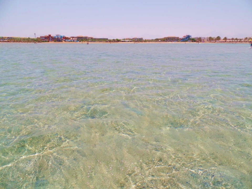 1.5 KM Fußmarsch vom Strand JAZ Aquamarine Resort