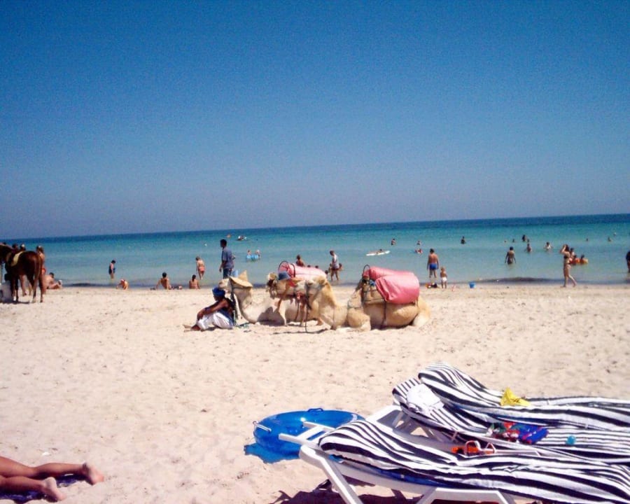Strand Djerba Sun Beach Hotel & Spa