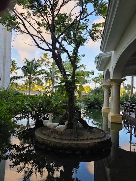 Gartenanlage JOIA Bávaro by Iberostar