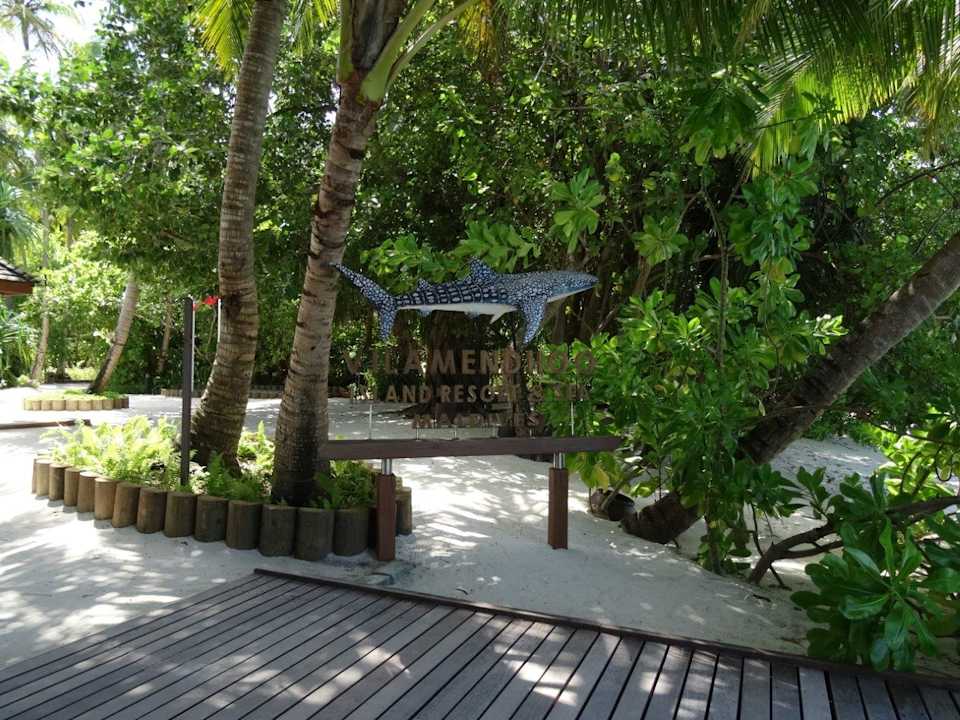 Außenansicht Vilamendhoo Island Resort & Spa