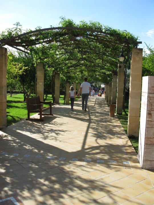 Blick von der Lobby in die Anlage Zafiro Mallorca