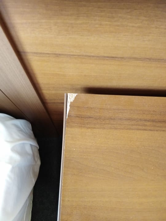 Zimmer Alba Sunny Beach