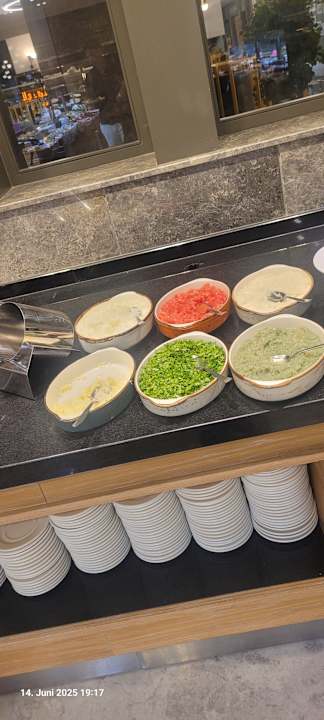 Gastro Seashell Vega