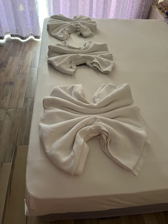 Zimmer Asteria Family Resort Side