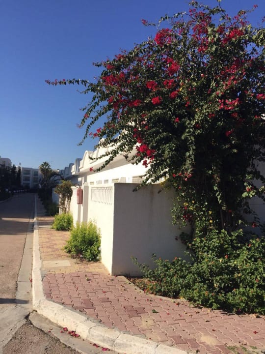 Территория El Mouradi Club Kantaoui