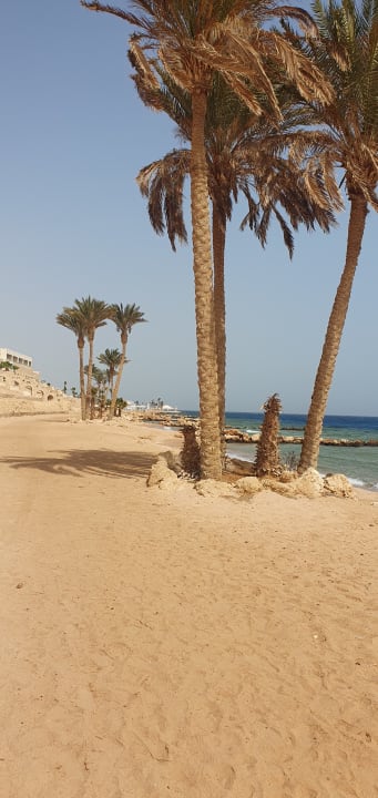 Strand Pickalbatros Citadel Resort