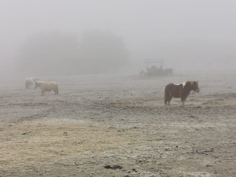 Sport & Freizeit Hotel Reiters Supreme