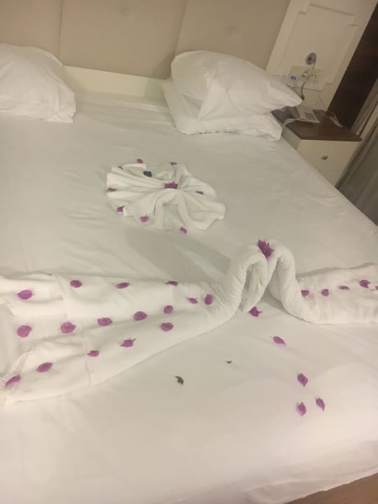 Zimmer Well Palace Side