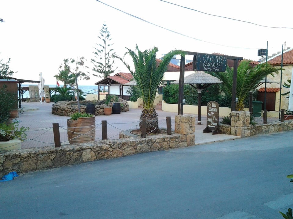 Strandbar Cactus Beach