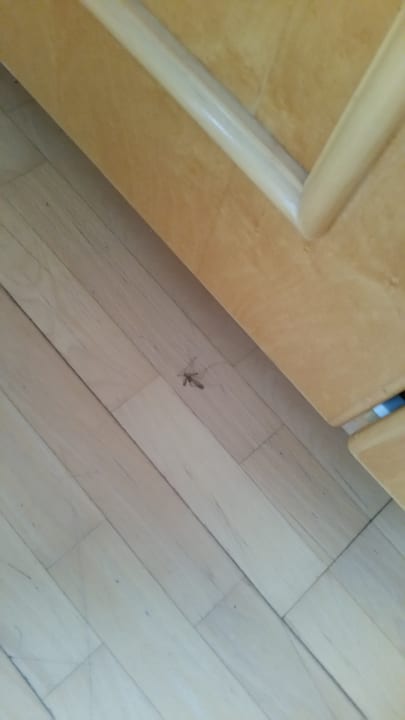 Zimmer Ferienappartements Grolik