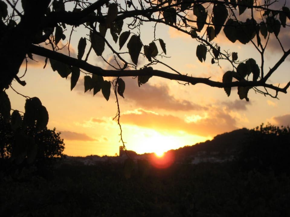 Sonnenuntergang Finca Sa Pletassa