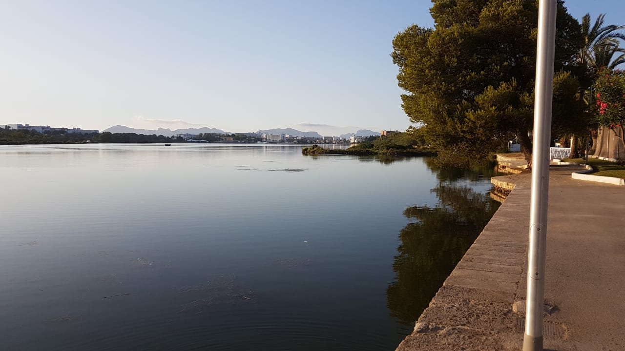 Ausblick VIVA Eden Lago