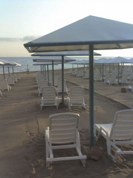 Strand PALOMA Perissia