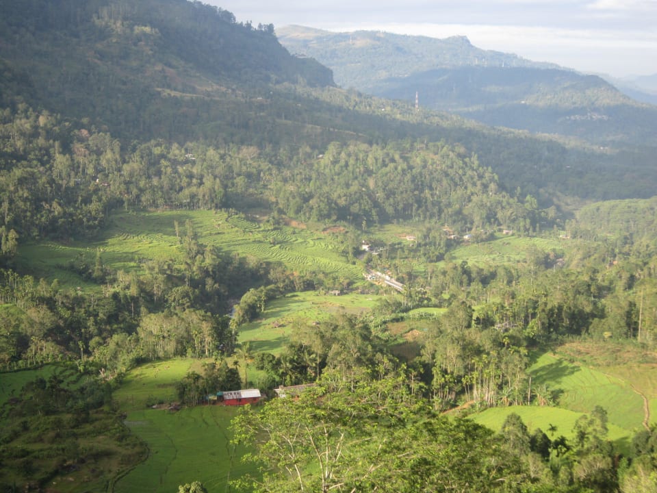 Blick vom Balkon Oak-Ray Hotel Tea Bush Ramboda