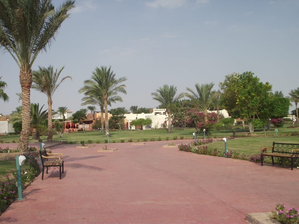 Gartenanlage Desert Rose