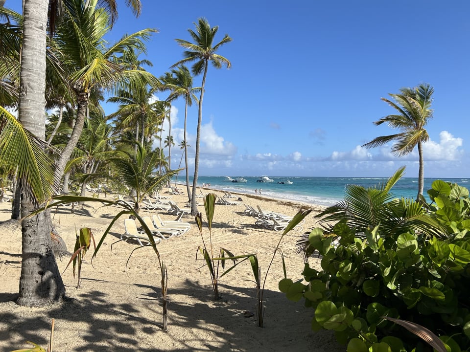 Strand Hotel Riu Palace Bavaro