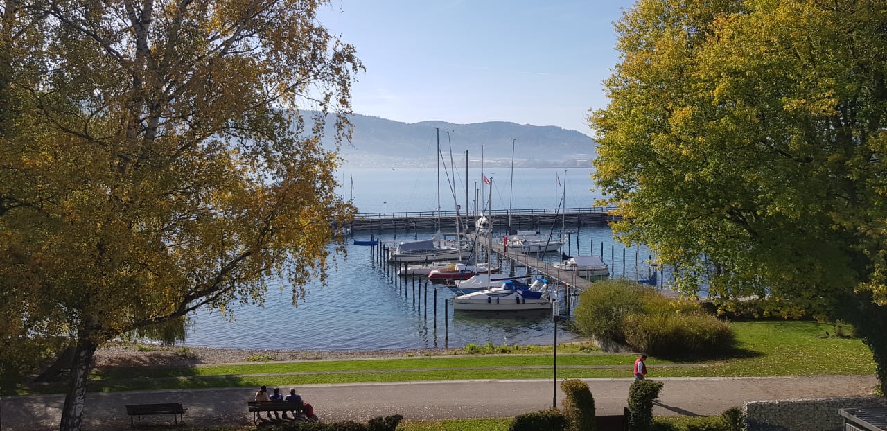 Ausblick Seehotel Adler