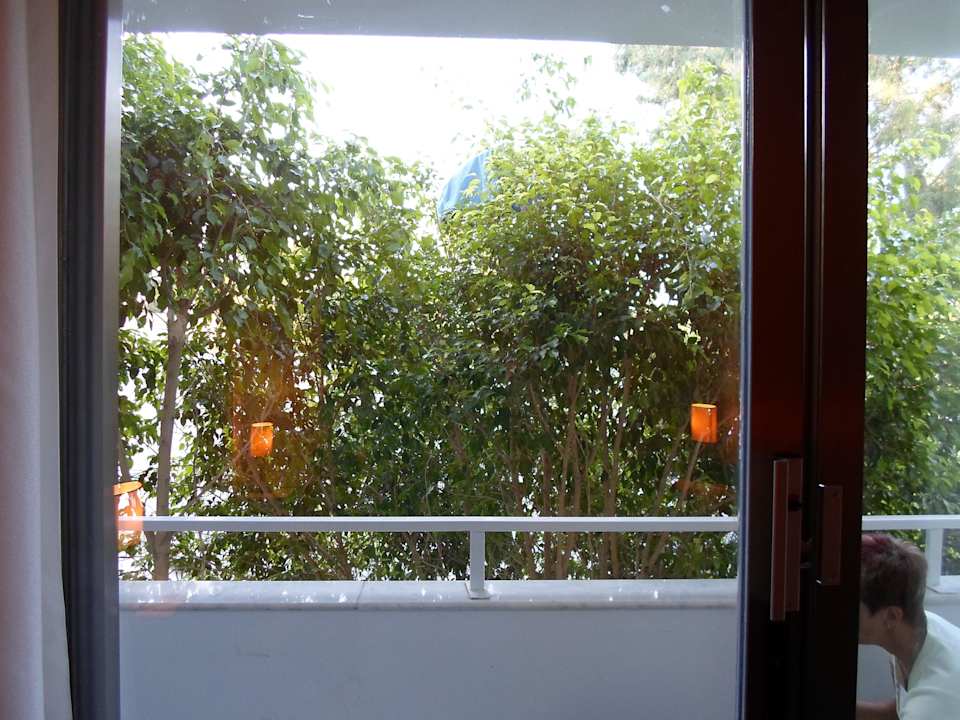 Ausblick aus Zimmer 036 Haupthaus Asteria Collection Side